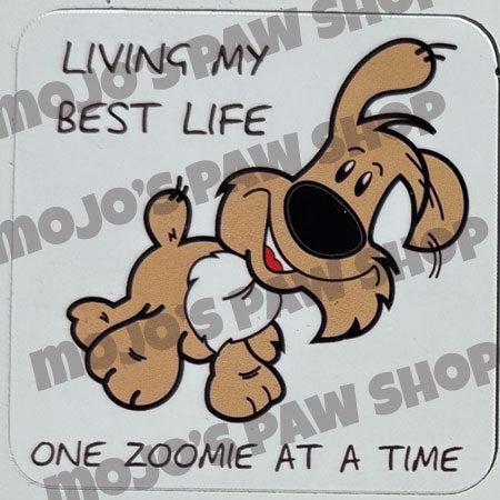 Living My Best Life (One Zoomie at a Time)