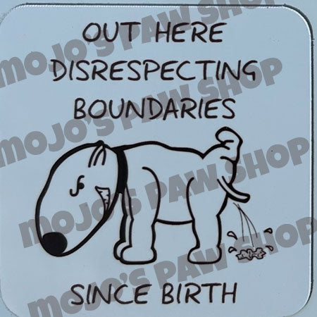 Out Here Disrespecting Boundaries