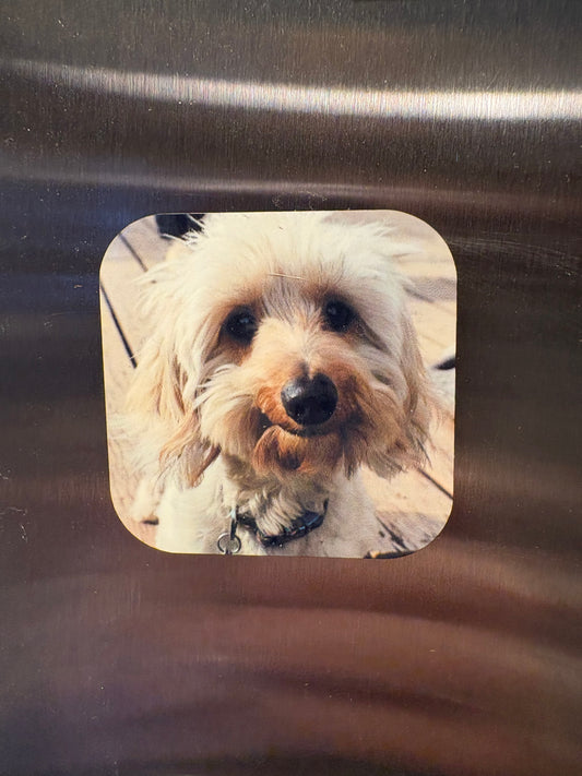Stick With It – Custom Magnets