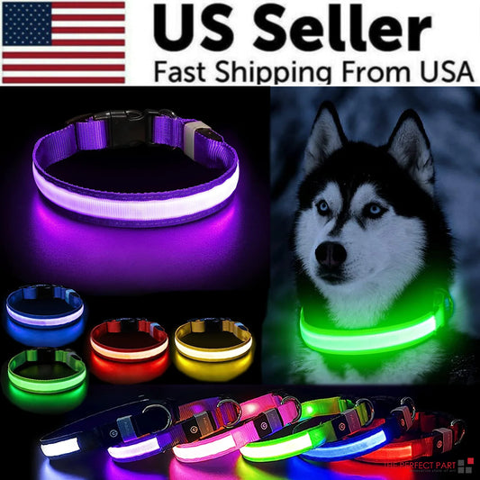 GlowPup LED Collar