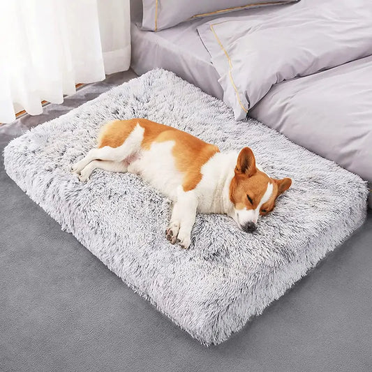 Pawfect Plush: The Ultimate Comfort for Your Pup!